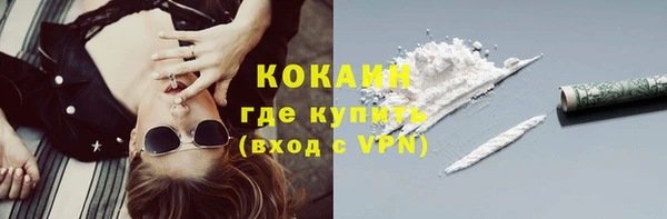 мдпв Пестово