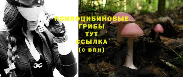 спайс Михайловка