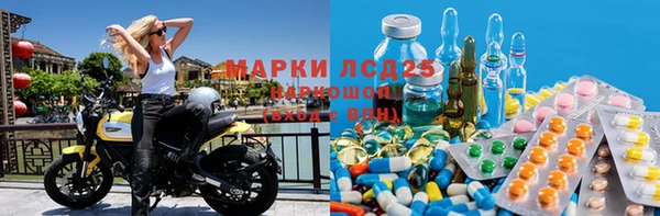 молекула духа Михайлов