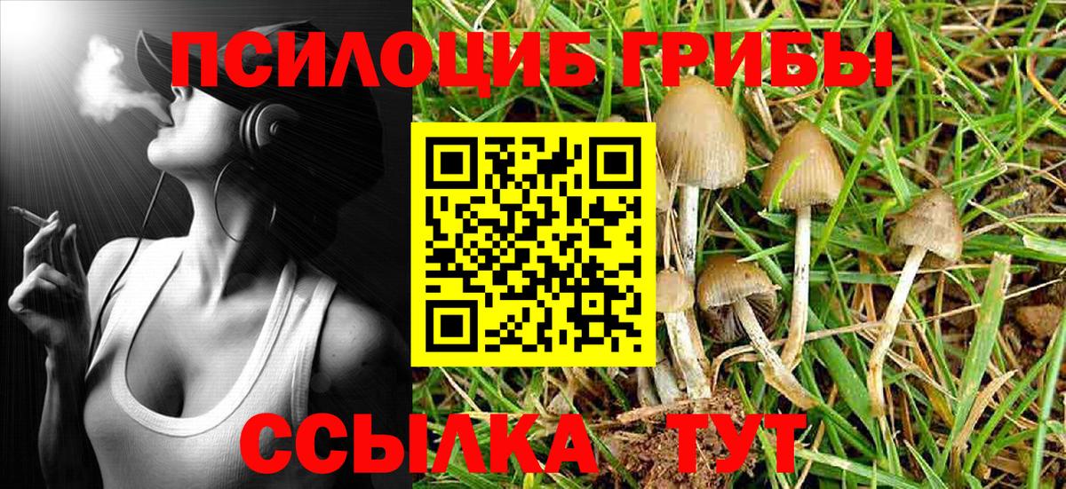 Галлюциногенные грибы мицелий Егорьевск