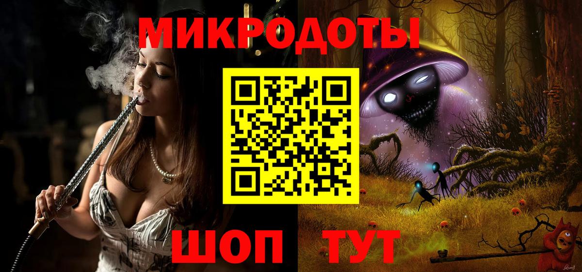 Галлюциногенные грибы Psilocybe Егорьевск