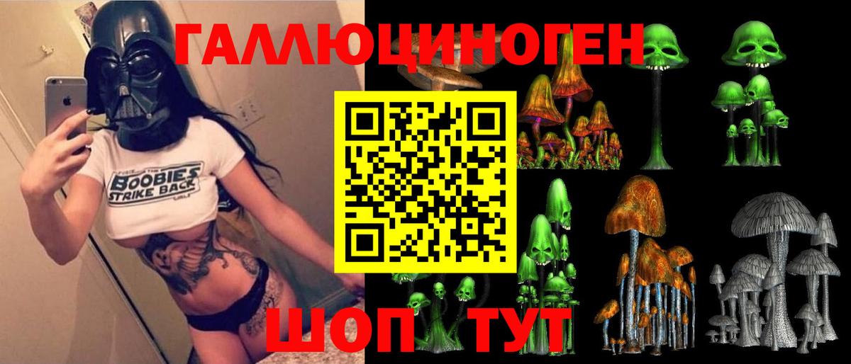 Егорьевск  Псилоцибиновые грибы мицелий  Вход с VPN  Псилоцибиновые грибы мицелий 