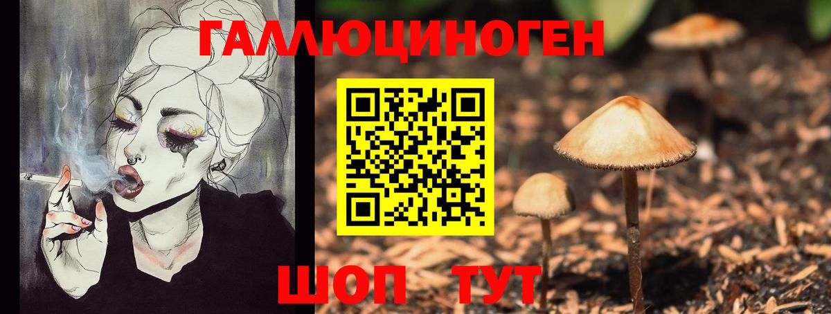 Галлюциногенные грибы Psilocybe  Егорьевск 
