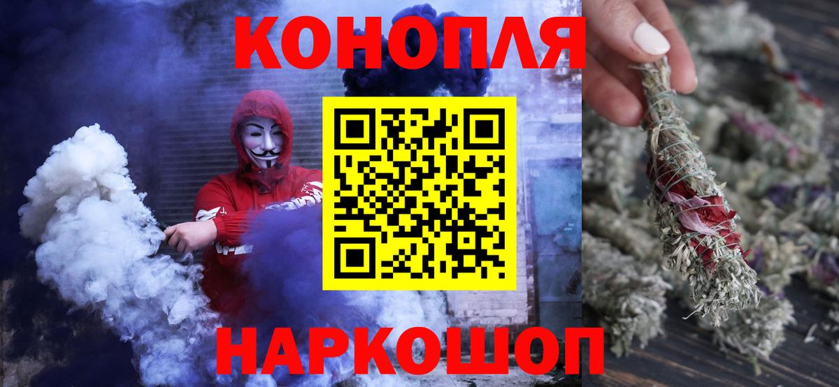 Конопля сатива  Бошки марихуана планчик  Егорьевск 